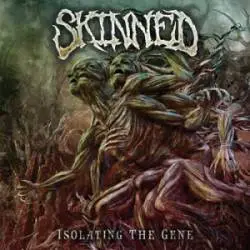 Skinned : Isolating the Gene Skinned : Isolating the Gene